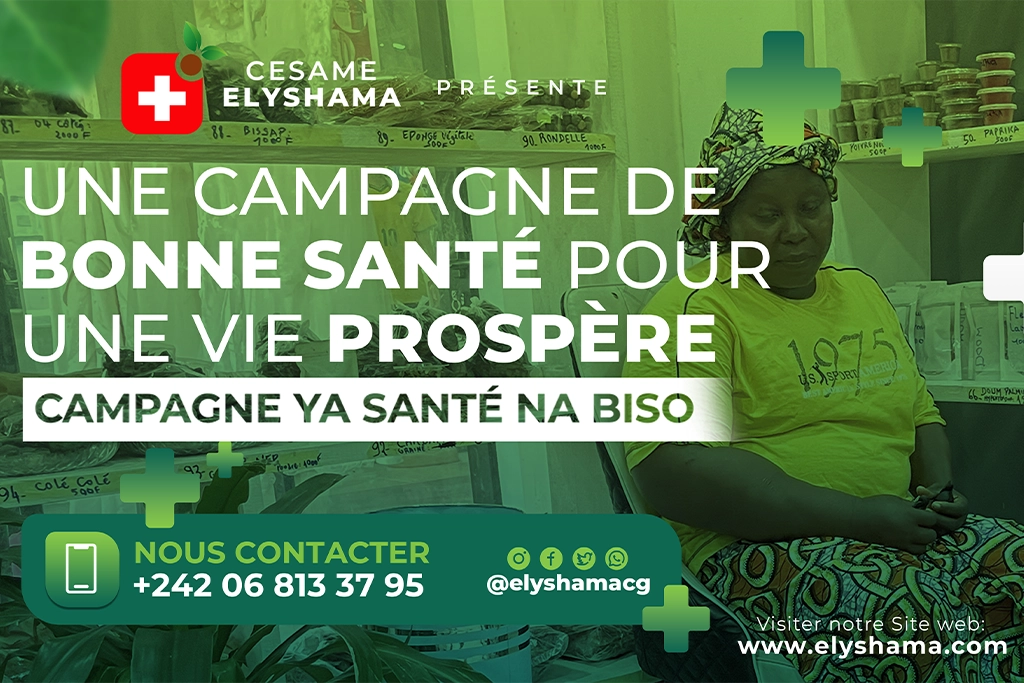 Charte graphique entreprise - Design professionnel et branding complet pour société congolaise